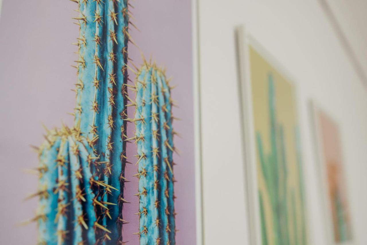 Cactus - Blooming Garden Apartments Kalamata Dış mekan fotoğraf