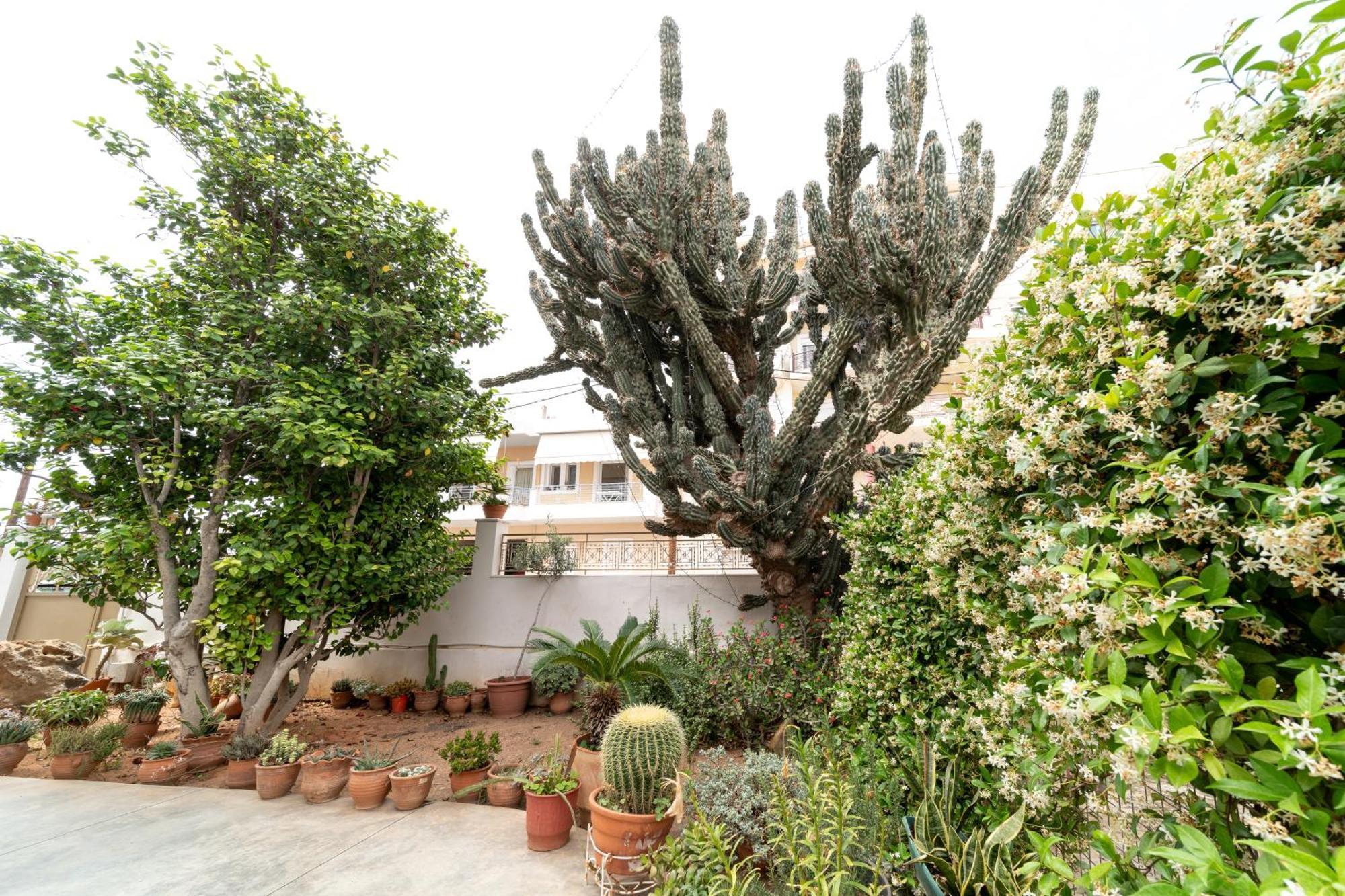Cactus - Blooming Garden Apartments Kalamata Dış mekan fotoğraf
